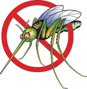 No Mosquito